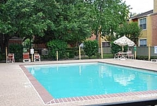 Photo27195