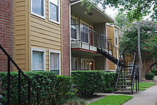 Photo27329