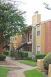 Photo27333