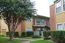 Photo27335