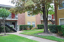 Photo27338