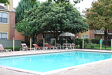 Photo27343